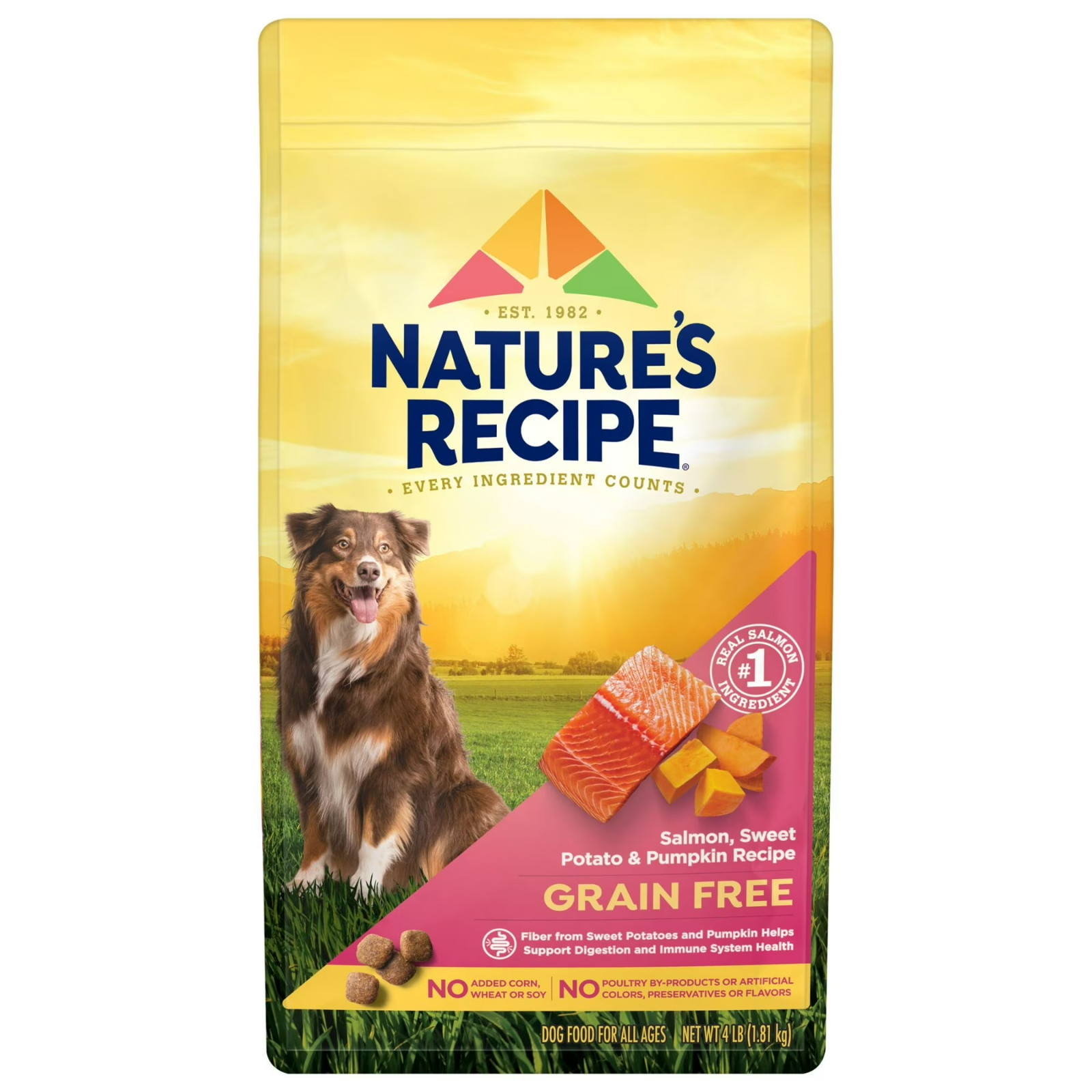 Nature&prime;s Recipe Grain Free Salmon, Sweet Potato & Pumpkin Recipe Dry Dog Food, 4