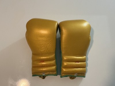Infinitude Custom Boxing gloves 16oz