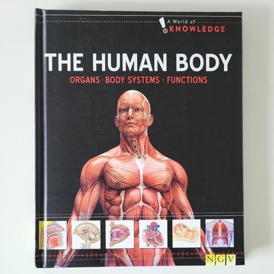 The Human Body