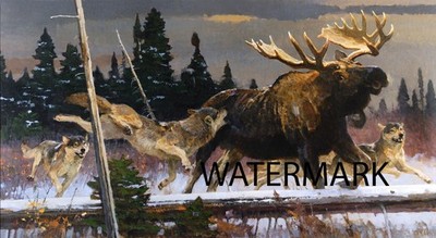 Bob Kuhn -  Moose A Matter of Odds  Big Game Hunting - 17x30 Print REPRODUCTION