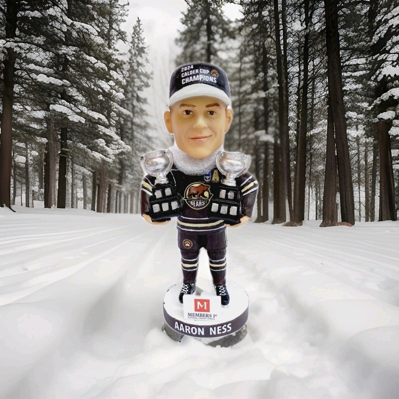 Aaron Ness #27 Hershey Bears Back To Back Calder Cup Champions Bobblehead