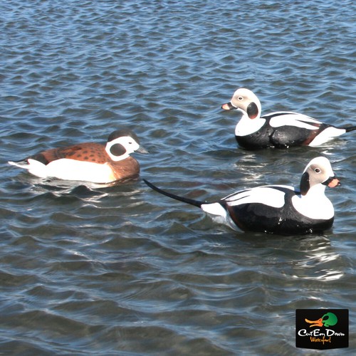 AVERY OUTDOORS GHG COMMERCIAL GRADE LONG-TAILED DUCK DECOYS - 6 PACK - Picture 3 of 4