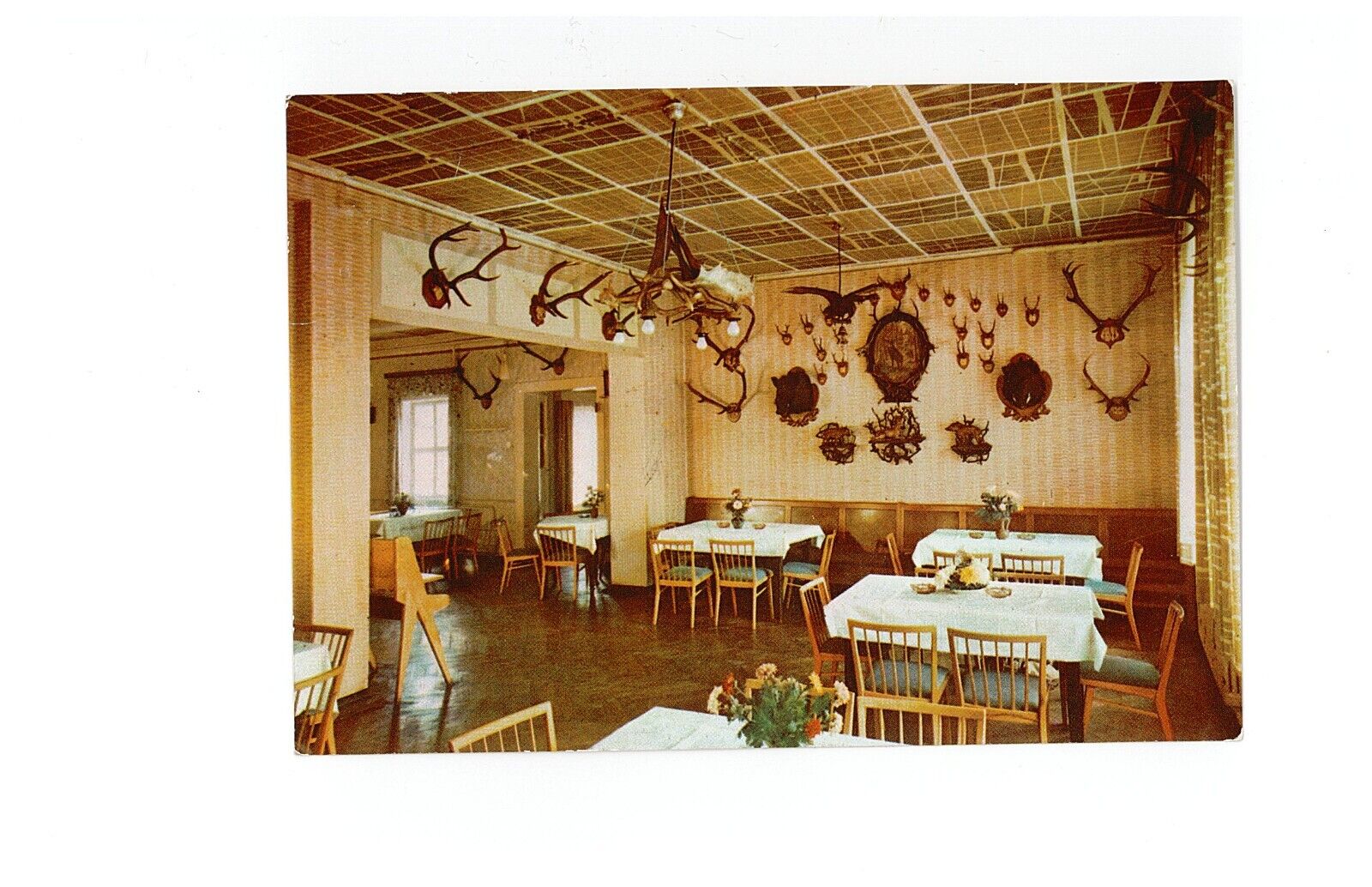 Foto 1 di 1