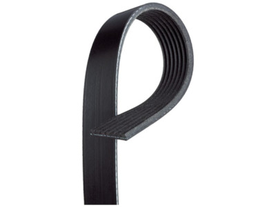 GATES MICRO-V Riemen