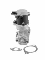 Borgwarner AGR Ventil 712057D FüR Peugeot 407 SW 607 9D 9U Hdi 6DUHZJ 6DUHZF 24V