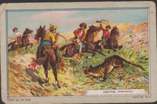 CHROMO ANCIEN PUBLICITAIRE CAFE DANIEL VOELCKER - CHASSE AU JAGUAR- MEXIQUE