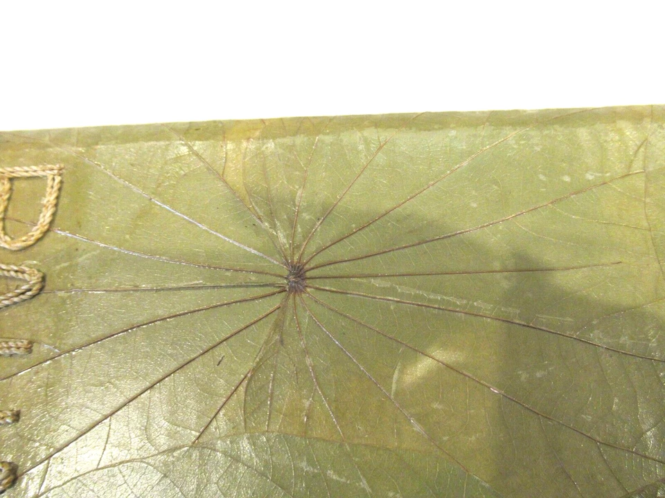 Álbum de fotos Bahamas, mediados de siglo Foto 2 de 4