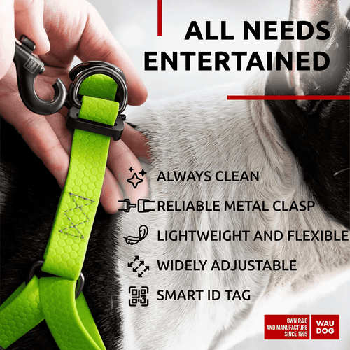 Waterproof Dog Harness Adjustable Dog Harness for Large Dogs Small and Medium - Picture 5 of 6