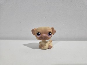 Littlest Pet Shop LPS #3573 – Chat Européen Original Hasbro – Authentique