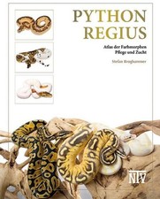 Python regius Stefan Broghammer