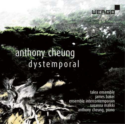 Anthony Cheung Anthony Cheung: Dystemporal (CD) Album