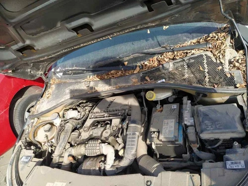 0263004853 Modulo Elettronico per CITROEN C-ELYSÉE Exclusive 2016 1597617 - Foto 10 di 10