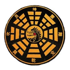 Dragon Target Board martial arts training