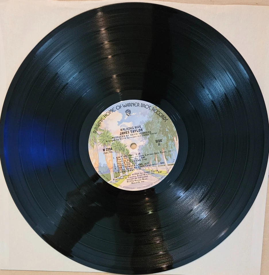 James Taylor, Walking Man, Vinyl LP, Warner Brothers W-2794, 1974. Foto 4 de 4