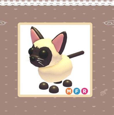 MFR SIAMESE CAT - ADOPT ME