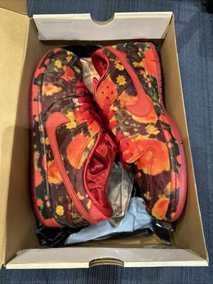 Size 13 - The Wizard of Oz x Nike Dunk SB Low Poppy Field