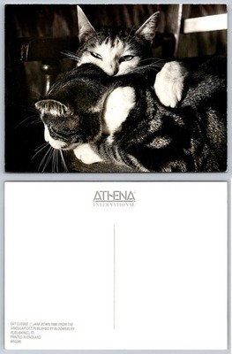 Jane Bown Cat Cuddle Postcard 1988 Athena International Black White Photo