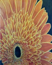 Orange Flower 11 x 14 Art Prints sold by artist/signed