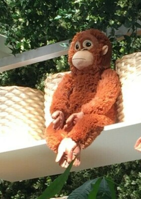 IKEA DJUNGELSKOG Stofftier Orang-Utan,66cm Plüschtier Kuscheltier