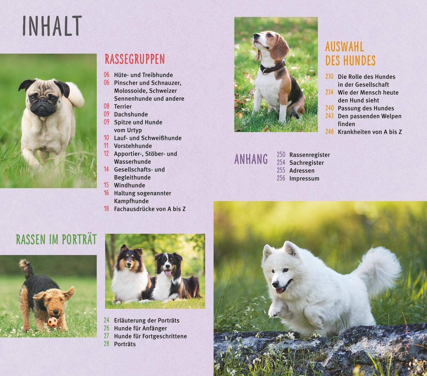 Thumbnail - Hunderassen Von A Bis Z Horst Hegewald-kawich