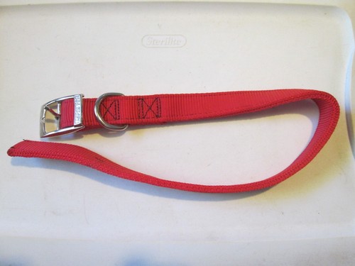Aspen Pet Products NYL DOG Collar 21" x 1"