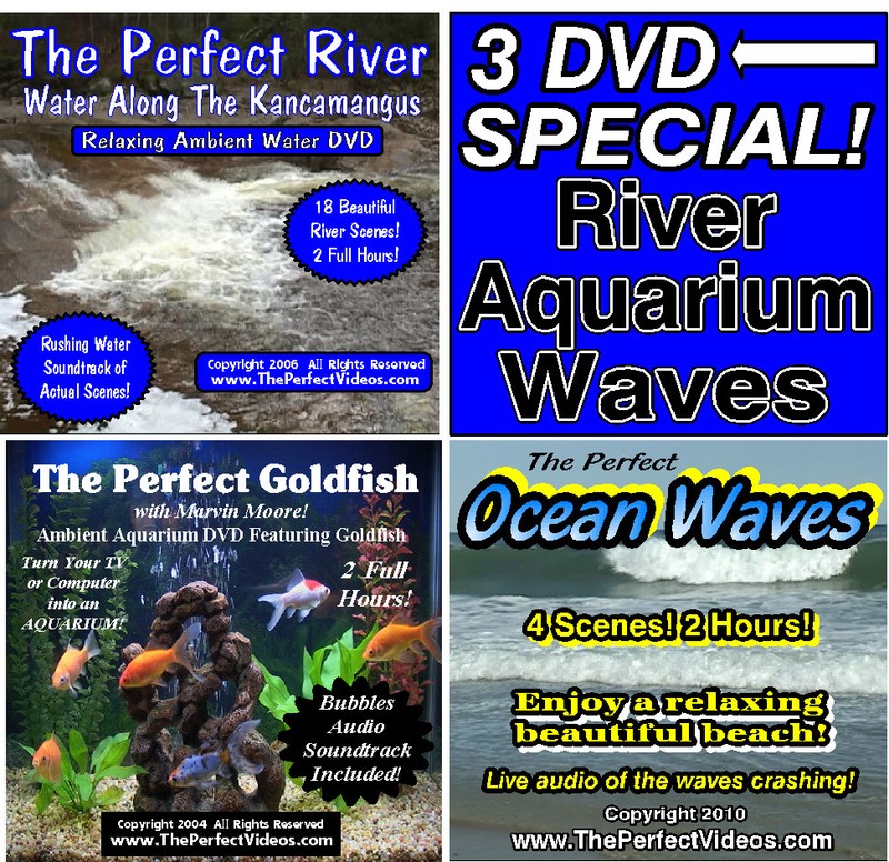 3 DVD SET The Perfect River, Ocean Waves, Goldfish Aquarium Ambient WATER Videos