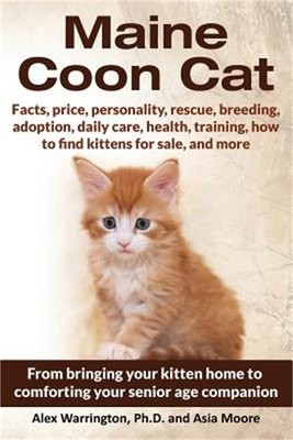 Maine Coon Cat: From Bringing Your Kitten Home to Comforting Your Senior Age Com