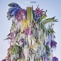 Vinile - Wilco - Cousin - Legacy -D- Neu