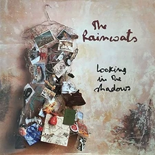 Looking In The Shadows by The Raincoats [Audio CD]