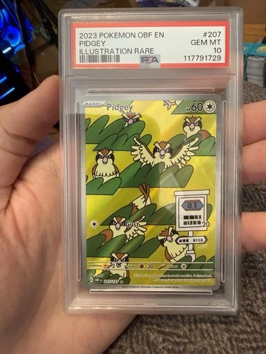 2023 POKEMON OBF EN-OBSIDIAN FLAMES ILLUSTRATION RARE #207 PIDGEY PSA 10