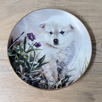 Bradford Exchange Collector Plate Wolf Pups Early Aspirations 8.25'' Gold Rim