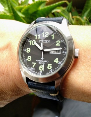 Citizen Promaster Automatic Field Watch NH6050-02E on Blue Colareb Firenze  Strap | eBay