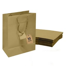 Novel Box Gold Gift Bags with Handles 10 Pack 8x4x10 Inches Large Bags