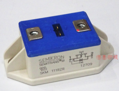 【 24  】 2PCS SKM111RZR PAKAGE:MODULE | eBay