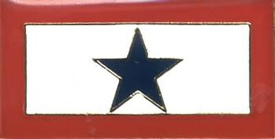 Pack of 50 Blue Star Banner Flag Bike Motorcycle Hat Cap Lapel Pin HP4899