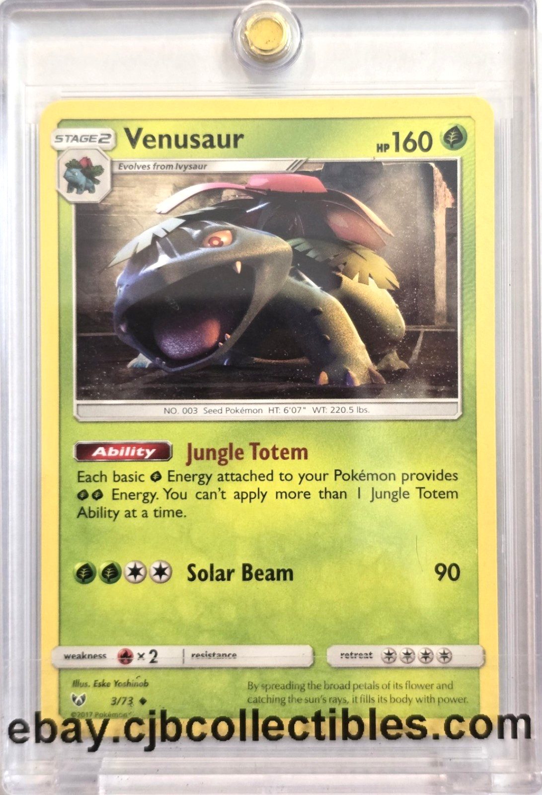 Pokémon VENUSAUR 3/73 Shining Legends - Near Mint 🍒
