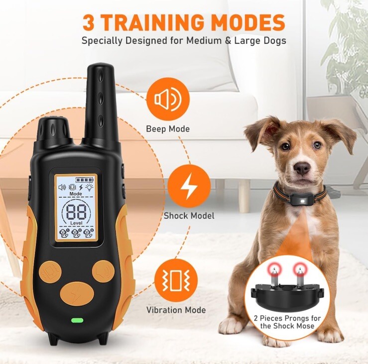 Best Electric Dog Collars The 10 Best Dog Training Collars Of 2025