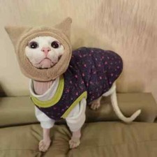 Warm Fleece Hat For Sphynx Cat Winter Head Protect in Cold Weater For Devon Rex