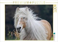 "Calvendo Puzzle A Photo From The \"Haflinger Beauties\" Calendar | 1000 Pieces, Fi"