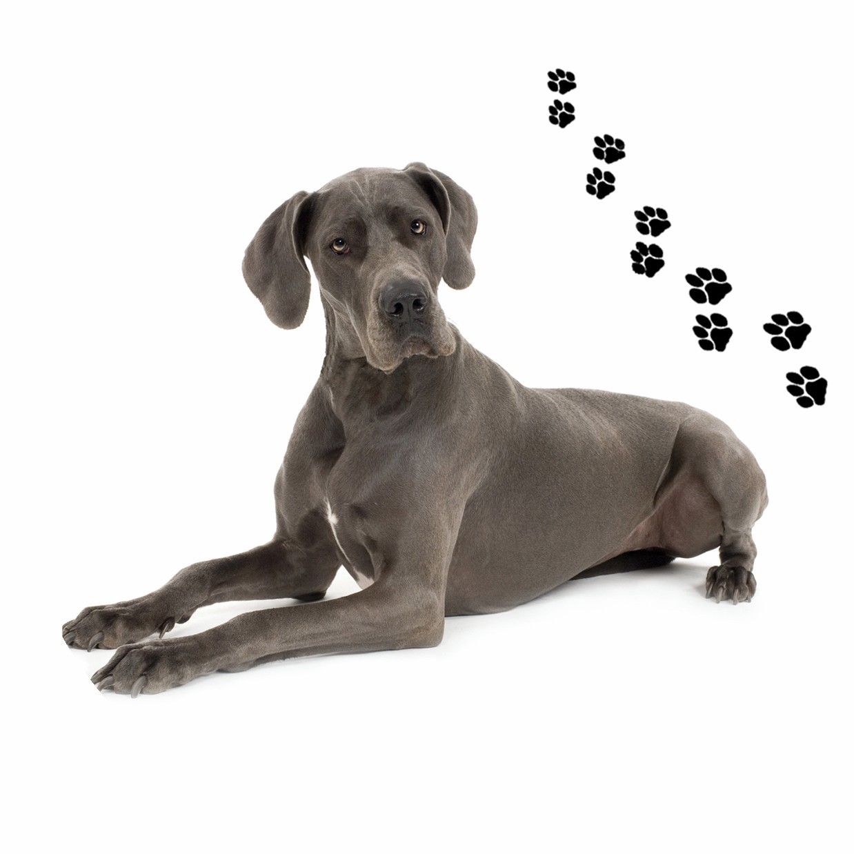 Открывалка для банок Andreas с круглым силиконовым ковриком, немецкий дог, 6,25 дюйма