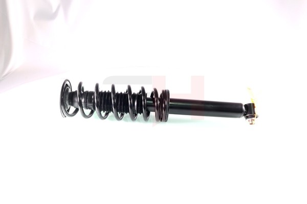 2X GH Federbein Hinterachse Rechts Links Passend FüR BMW 5Er E60 520I 525D-image