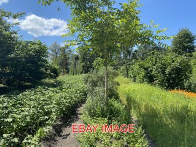 PHOTO  ALMERE AGRO-FORESTRY
