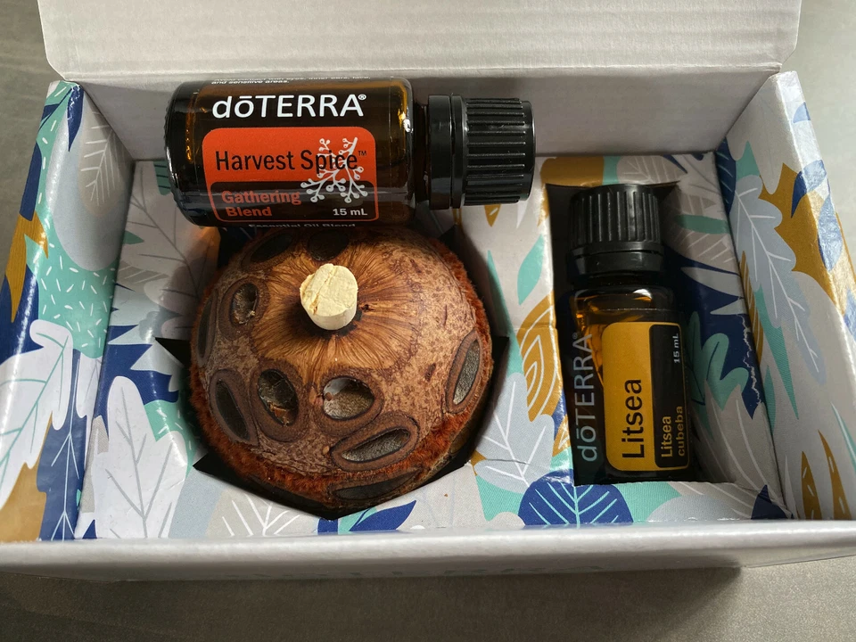 Brand New Genuine doTERRA Banksia Diffuser 15ml Litsea Oil & 15ml Harvest Spice - Image 4 of 4
