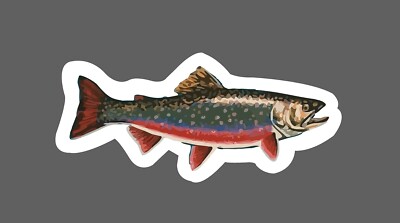 Trout Sticker Fish River Swimming Waterproof Outdoor Fishing Nature Gift NEW