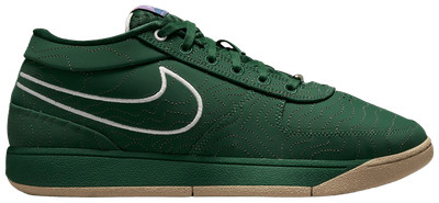 Nike Book 1 'Flagstaff' FJ4249-300 Ship Now