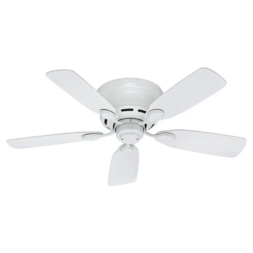 Hunter Fans - Low Profile 42 Inch Low Profile Ceiling Fan with Pull Chain-White - Picture 1 of 4