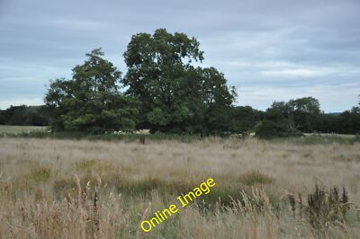 Foto 12x8 Cullompton: Grassy Field St George's Well \/ST0208 A grasy fie c2013