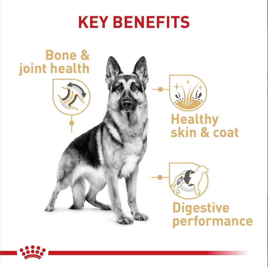 Royal Canin Large Breed Health Nutrition German Shepherd Adult Dry Dog
