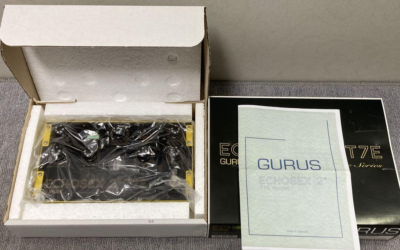 Gurus Echosex 2 T7E 010 Binson Echorec Guitar Effector Early Gurus Echosex 2 T7E 010 Binson Echorec Guitar Effector Early