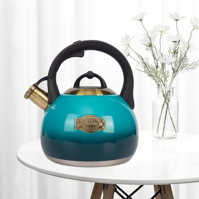 Tea Kettle Stovetop Whistling Kettle Teapot Stainless Steel 3.1 Quart Blue